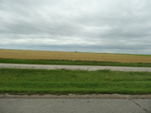 Die Getreidefelder sind riesig.