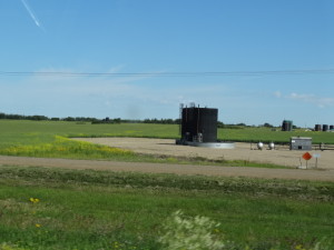 Inmitten der Felder fördern Ölpumpen Öl zu Tage.