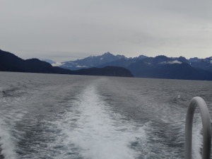 Wir machten eine Bootsfahrt zu den Gletschern in den Fjorden.